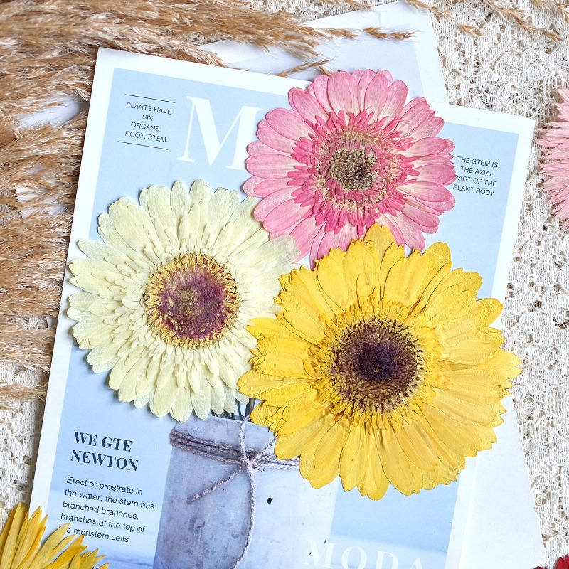1 pz/7-9 cm, Gerbera pressata  - Resin Art Phone Case recensione e prezzo