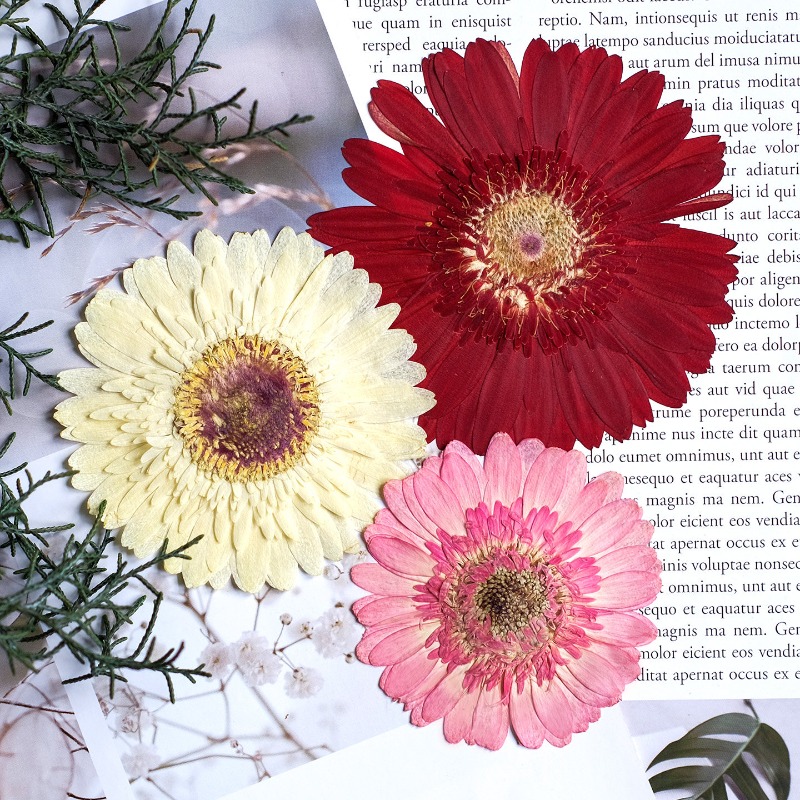1 pz/7-9 cm, Gerbera pressata  - Resin Art Phone Case recensione e prezzo