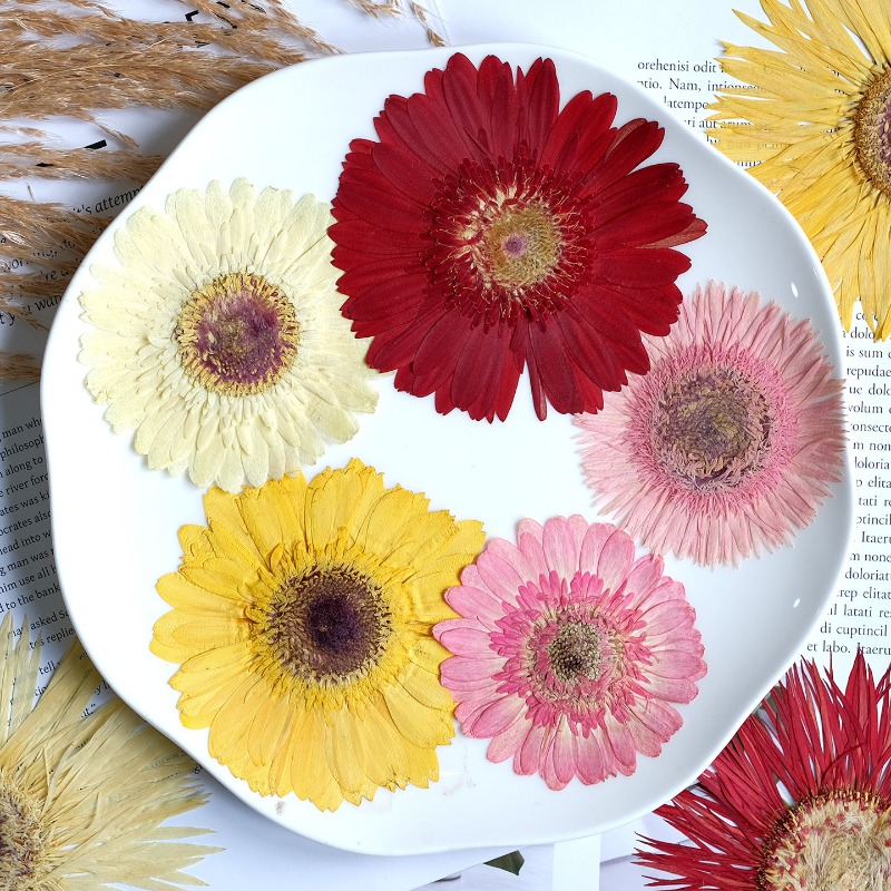 1 pz/7-9 cm, Gerbera pressata  - Resin Art Phone Case recensione e prezzo