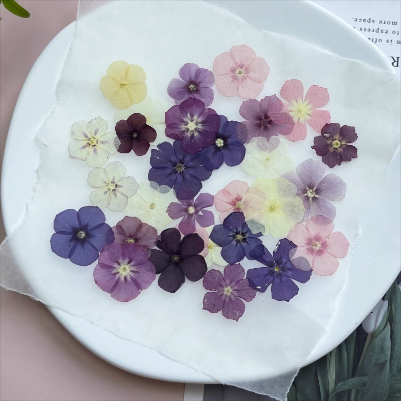 12 pezzi, fiori secchi pressat - Resin Art Phone Case recensione e prezzo
